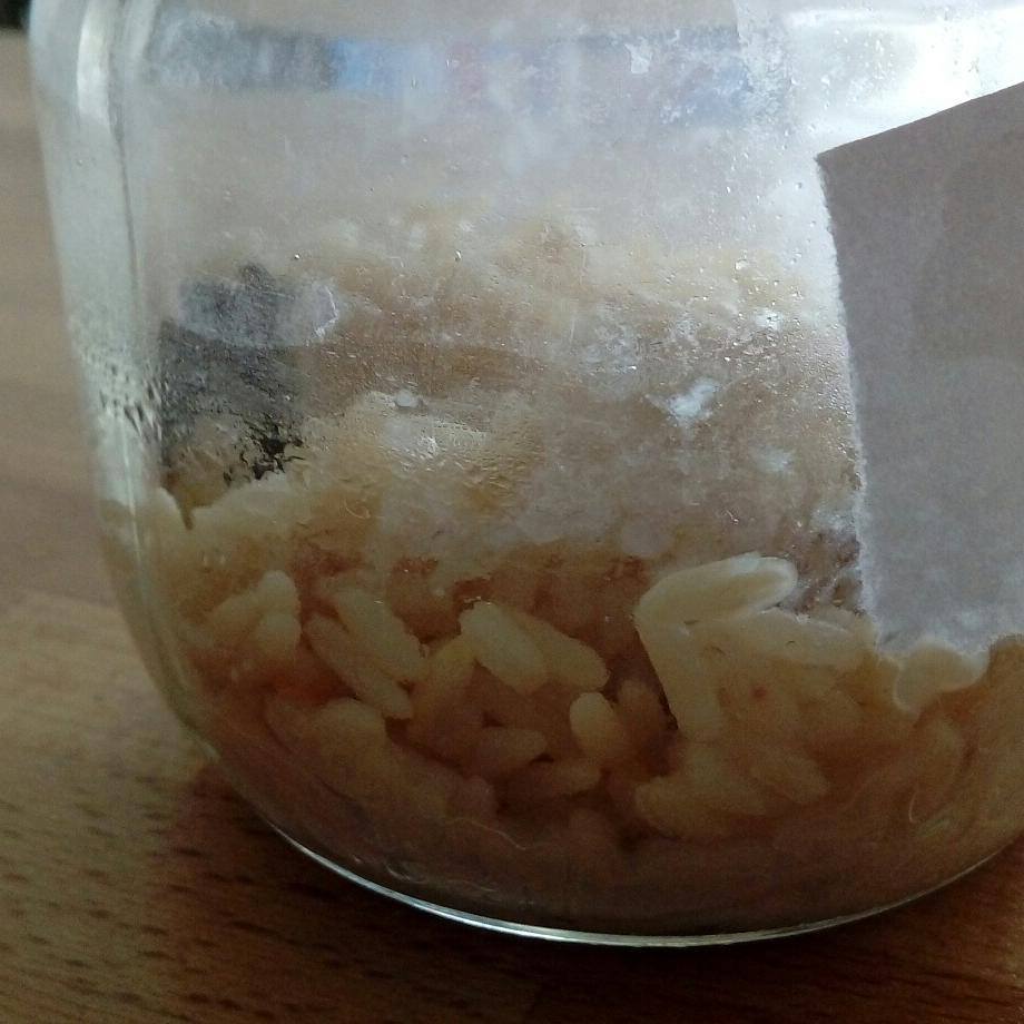 Stephanie Grosieux, thérapeute holistique, sophrologue, naturopathe, massages, reiki, sur Montpellier et alentours. En cabinet, à domicile sur Montpellier et alentours et à distance par Skype. masaru emoto memoire de l'eau experience du riz