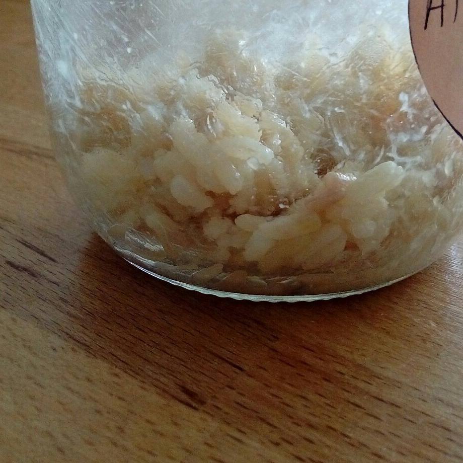 Stephanie Grosieux, thérapeute holistique, sophrologue, naturopathe, massages, reiki, sur Montpellier et alentours. En cabinet, à domicile sur Montpellier et alentours et à distance par Skype.