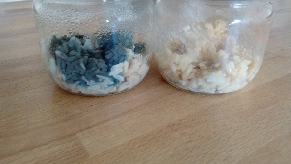 Stephanie Grosieux, thérapeute holistique, sophrologue, naturopathe, massages, reiki, sur Montpellier et alentours. En cabinet, à domicile sur Montpellier et alentours et à distance par Skype. masaru emoto memoire de l'eau experience du riz