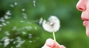 Stéphanie Grosieux, sophrologue à Laroque à côté de Montpellier