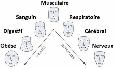 Morphotypes, Stéphanie Grosieux, thérapeute holistique, naturopathe, sophrologue sur Montpellier