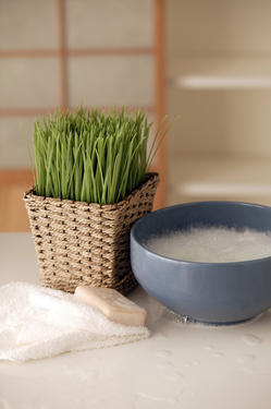 STEPHANIE GROSIEUX NATUROPATHE SOPHROLOGUE MONTPELLIER HERAULT